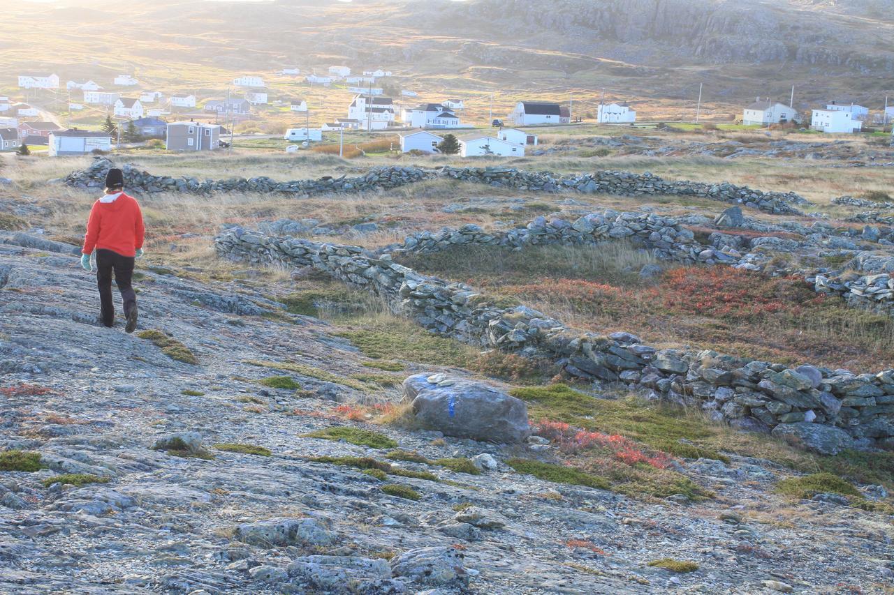 Grates Cove Studios: B&B In Historic Grates Cove エクステリア 写真
