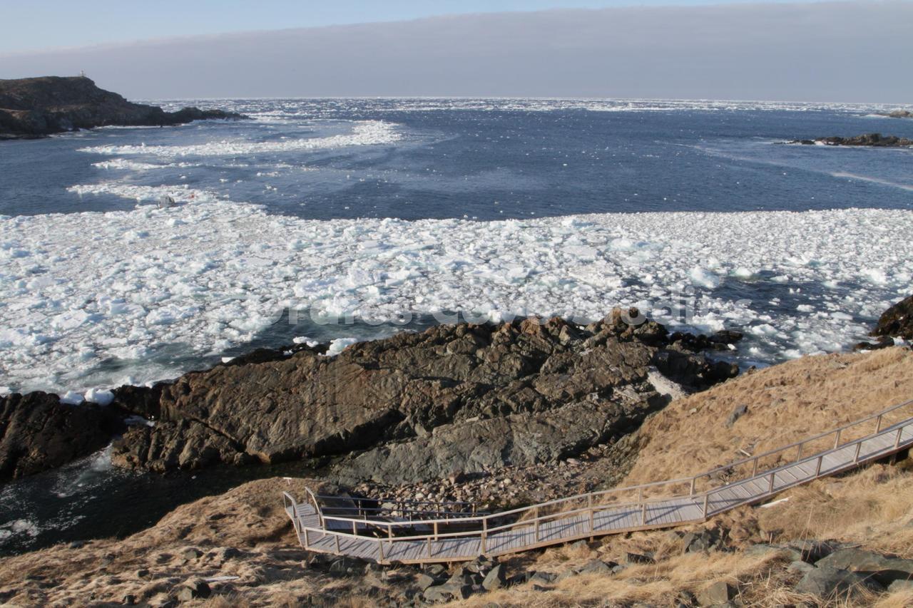 Grates Cove Studios: B&B In Historic Grates Cove エクステリア 写真